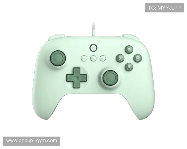 开云中文站最新资讯全面解析助你掌握游戏行业动态与发展趋势