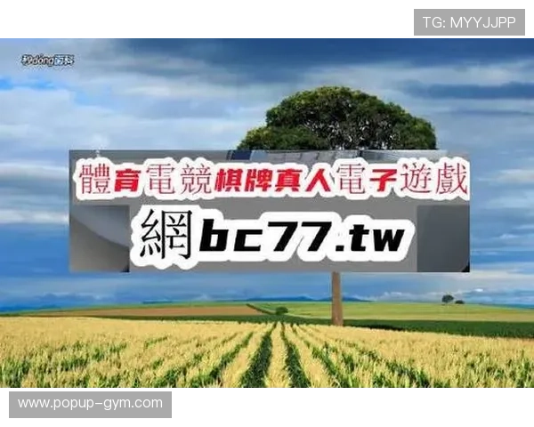 探索AG真人网登录入口的多种登录方式与技巧